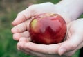 Hands holding a macintosh apple