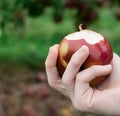 Hands holding a macintosh apple