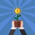 Hands holding money flower in pot vector illustration (poster). Royalty Free Stock Photo