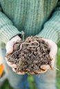 Hands Holding a Mound of Soil with Earthworm on Top