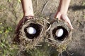 Hands holding nest with egg. Royalty Free Stock Photo