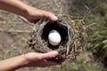 Hands holding nest with egg. Royalty Free Stock Photo