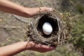 Hands holding nest with egg. Royalty Free Stock Photo