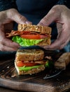 Hands holding one half of a homemade bacon and tomato sandwich, ready to take a bite. Royalty Free Stock Photo