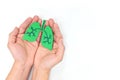 Hands holding a pair of healthy lungs in white background. Top view, flat lay with copy space.