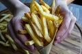 hands holding a paper cone filled with belgian fries Royalty Free Stock Photo