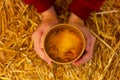 hands holding paper cup of hot pumpkin soup on hay stack, top view. traditional country food at a farmer's festival Royalty Free Stock Photo