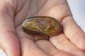 Hands holding a piece of amber Royalty Free Stock Photo