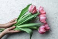 Hands holding pink tulips flowers on white background. Card for Mothers day, 8 March, Happy Easter. Waiting for spring Royalty Free Stock Photo