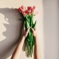 Hands holding pink tulips in morning soft light on white rustic Royalty Free Stock Photo