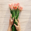 Hands holding pink tulips in morning soft light on white rustic Royalty Free Stock Photo