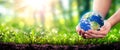 Hands Holding Planet Earth In Lush Green Environment Royalty Free Stock Photo