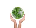 Hands holding planet Earth made from Green tree isolated on White Background Royalty Free Stock Photo