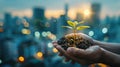 Hands holding plant with clean energy city backdrop, illustrating a nurtured zero carbon future. Zero carbon technology