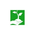 Hands holding plant, Hand with leaf simple vector icon. Symbol, logo illustration Royalty Free Stock Photo