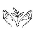 Hands holding plant with leaves vector icon. Hand drawn illustration isolated on white. Outline of sprout in human palms Royalty Free Stock Photo