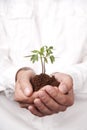 Hands holding plant sprouting from the soil