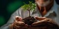 hands holding planting the seedlings into the soil over nature on green background