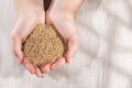 Hands holding popped amaranth grains - Amaranthus