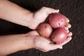 Hands Holding Potatoes