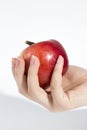 Hands holding red apple Royalty Free Stock Photo