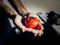 Hands holding a red tomato shaped kitchen and pomodoro timer. Royalty Free Stock Photo