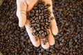 Roasted coffee beans in hand