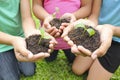 Hands holding sapling in soil surface Royalty Free Stock Photo