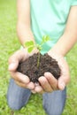 Hands holding sapling in soil surface Royalty Free Stock Photo