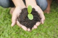 Hands holding sapling in soil surface Royalty Free Stock Photo
