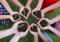 Hands holding sapling in soil surface Royalty Free Stock Photo