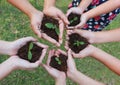 Hands holding sapling in soil surface Royalty Free Stock Photo