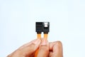 Hands holding sata data cable on white background Royalty Free Stock Photo