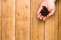 Hands holding scoop of coffee beans, healthy organic food concept on wooden background, top view, copy space for text, close up Royalty Free Stock Photo