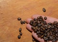 Hands holding scoop of coffee beans Not peeled Autumn harvest and healthy organic food concept Toned picture Farm