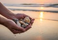 Hands holding seashells and pebbles on a beach at sunset Royalty Free Stock Photo