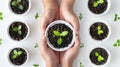 The hands holding seedling. AI generated Royalty Free Stock Photo