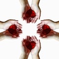 Hands are holding several crystal red heart isolated on white background Royalty Free Stock Photo