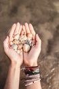 Hands holding shells caught from the sea Royalty Free Stock Photo