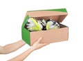 Hands holding shoes in a box Royalty Free Stock Photo