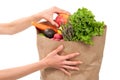 Hands holding shopping paper bag full of groceries