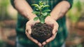The hands holding seedling.AI generated image Royalty Free Stock Photo