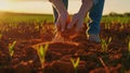 The hands holding soil.AI generated image Royalty Free Stock Photo