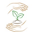 Hands holding soil with plant. Vector sign of environment protection, ecology concept symbol Royalty Free Stock Photo