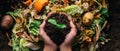 The hands holding soil with a seedling above a pile of composted vegetables. AI generated image Royalty Free Stock Photo