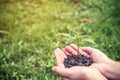 Hands holding soil and small tree to glow with green grass Royalty Free Stock Photo