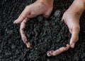 Hands holding soil with young plant Royalty Free Stock Photo