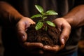 Hands holding soil with a young plant. Generative AI image. Royalty Free Stock Photo