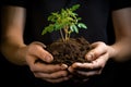 hands holding soil with a young tree, ready to plant Royalty Free Stock Photo