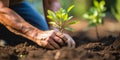 Hands holding sprout, man planting tree, organic farm, forestation, earth day and environment conservation concept background.